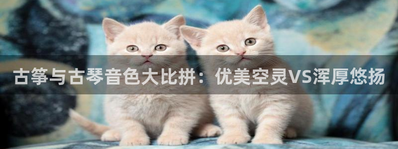 凯发网娱乐官网国际