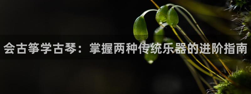 凯发国际平台
