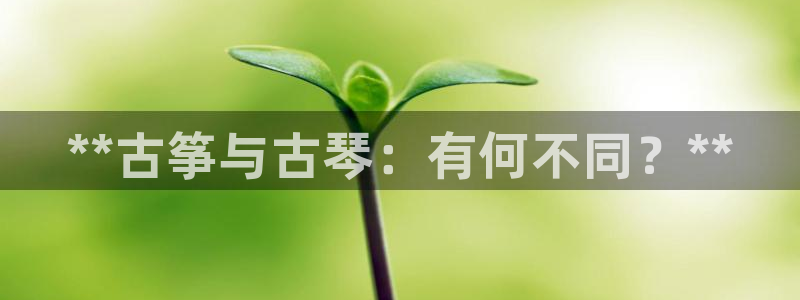 凯发k8官方