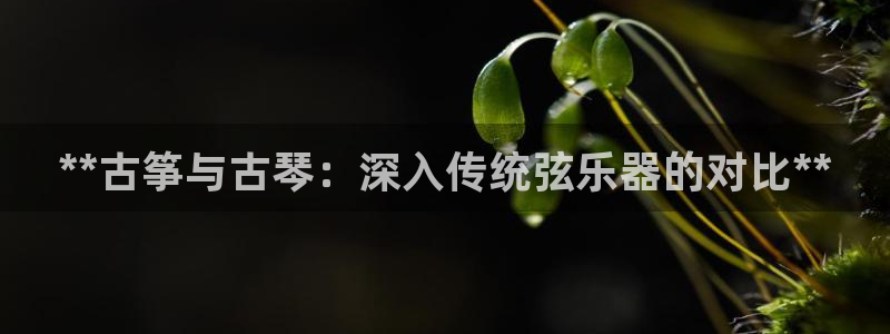 凯发娱乐国际厅