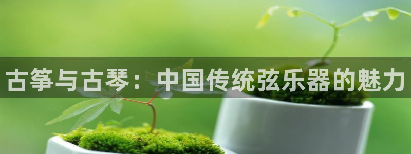 凯发网站是多少