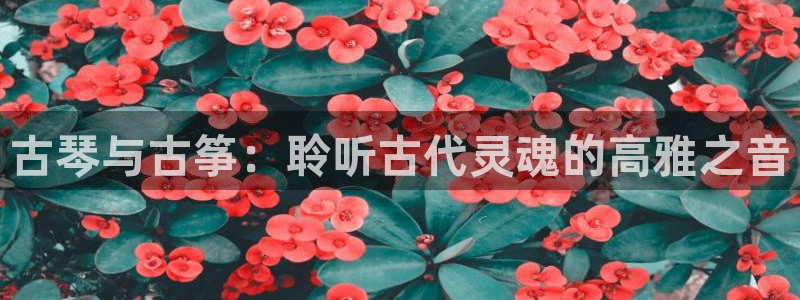 凯发k8娱乐官网手机端中心