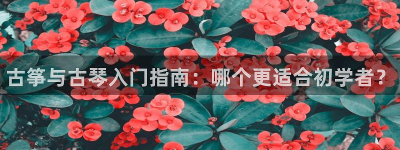 凯发k8娱乐欢迎您