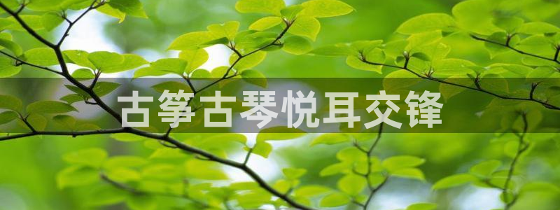 凯发k8ag85856