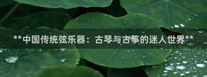 凯发官网平台