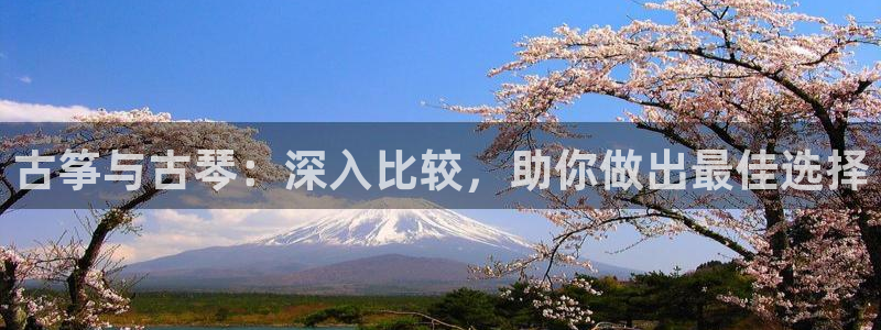 凯发网站是多少