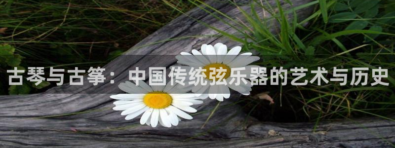 凯发手机官网