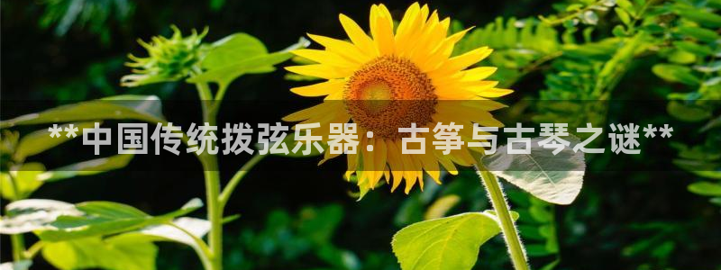 凯发k8娱乐是哪个国家的