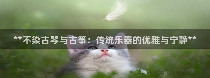 凯发k8娱乐平台