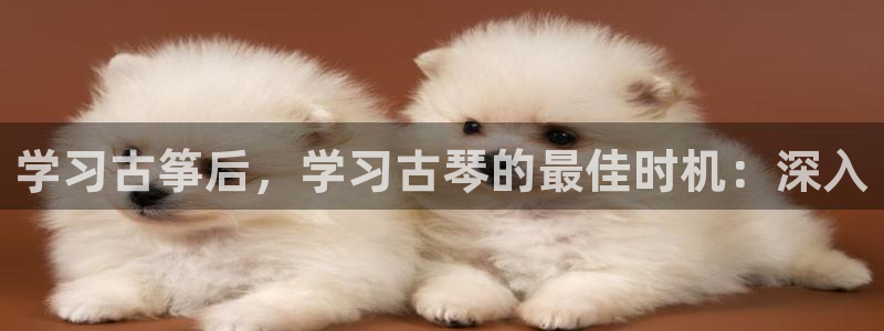 凯发k8国际版官网