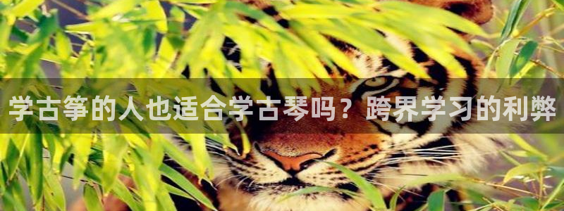 凯发国际平台登录