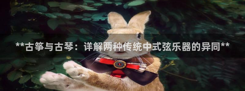 凯发网网站