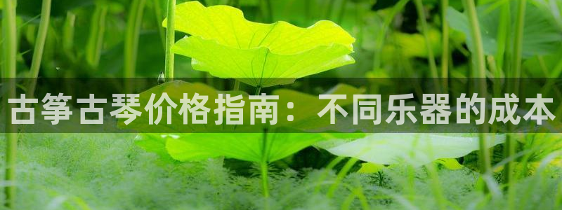 凯发k8娱乐注册登录