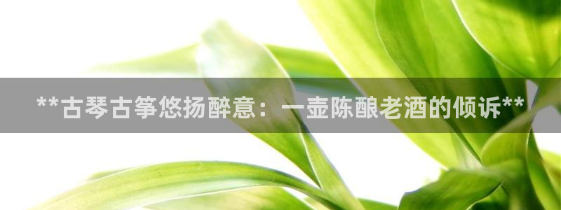 凯发娱乐官网登录