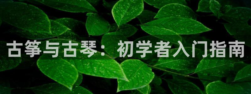 凯发国际网络平台网址