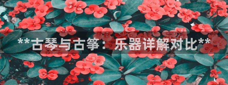 凯发官网下载客户端