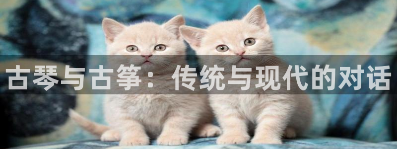 凯发平台首7O777