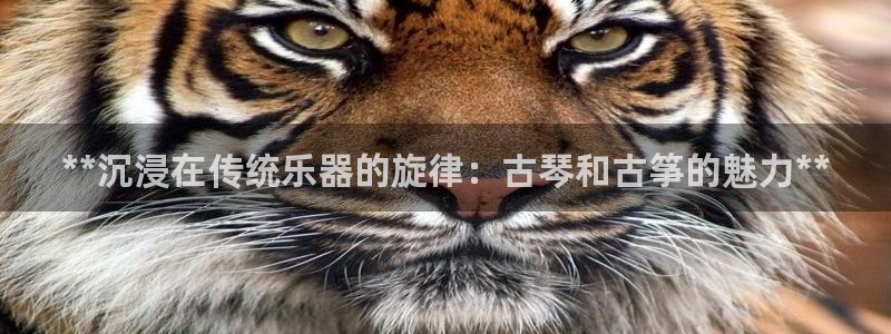 凯发手机客户端下载