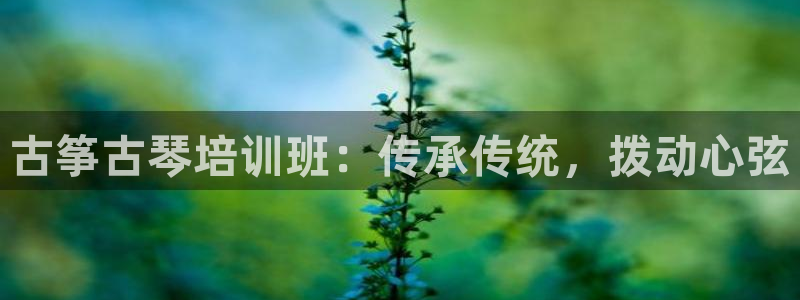 凯发k8娱乐平台能提现吗