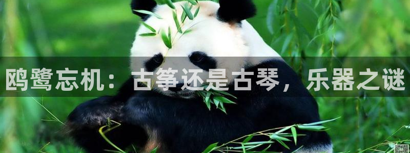 凯发a600丶cc官网首页