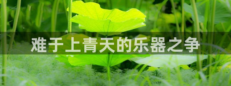 凯发娱乐k8国际
