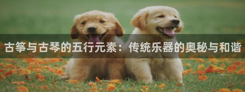 凯发k8手机网页