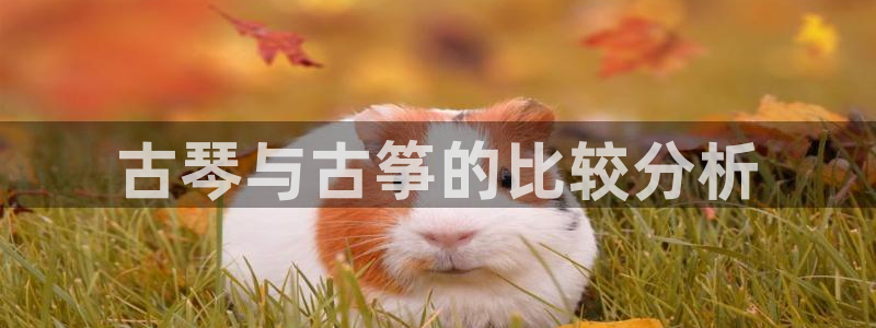 凯发旗舰厅官网