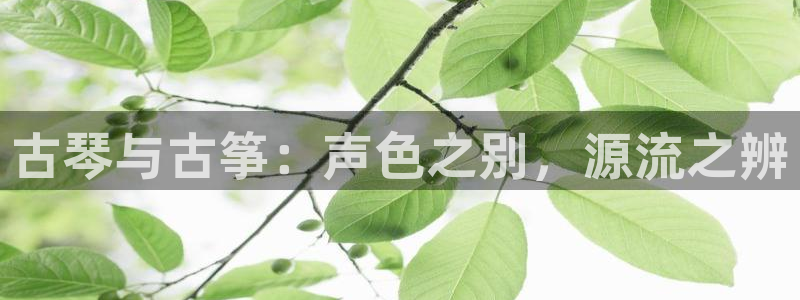 凯发k8娱乐倒闭了吗