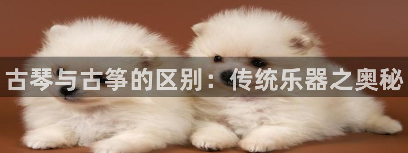 凯发k8娱乐要访问kf6819