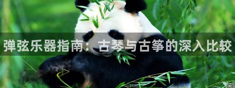 凯发正规网站