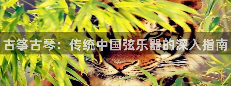 凯发k8娱乐官网最新版本