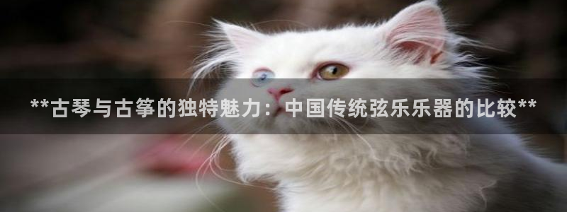 凯发旗舰平台