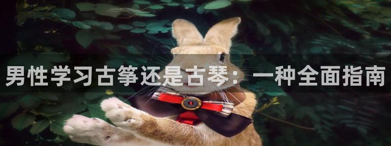 凯发平台风采