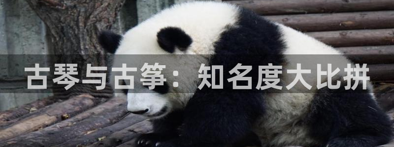 k8凯发是做什么的
