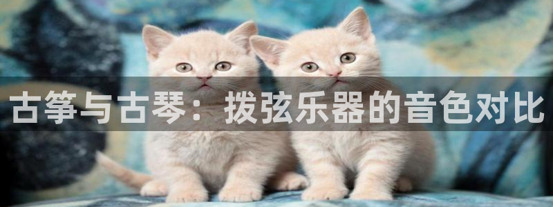 k8凯发官方找就送38
