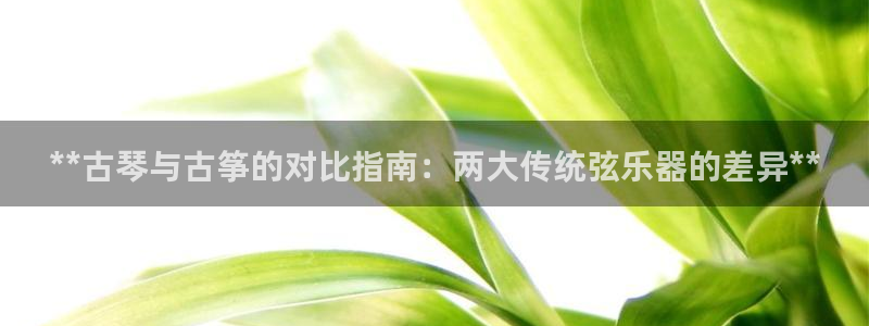 凯发官方在线