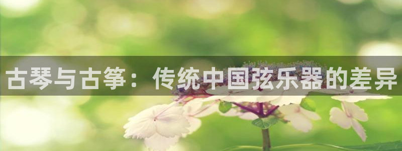 凯发国际网站