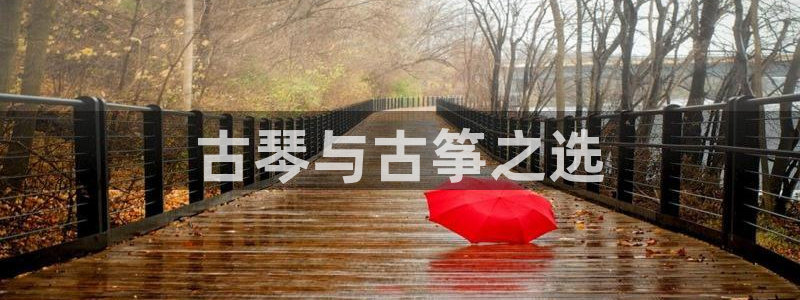 k8凯发是做什么的：古琴与古筝之选