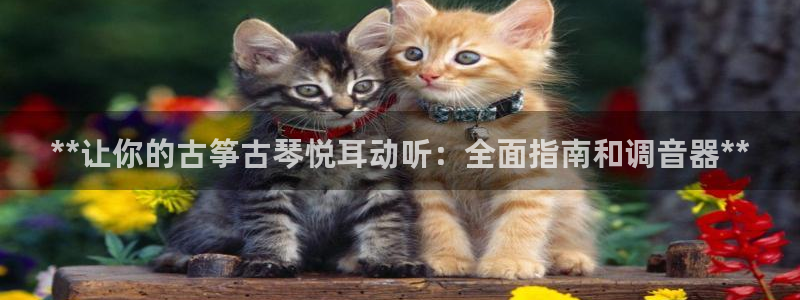 k8凯发是做什么的