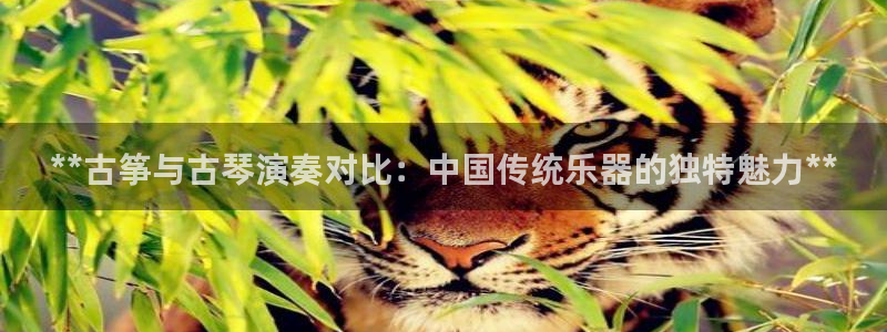凯发k8娱乐真人旗舰厅客服
