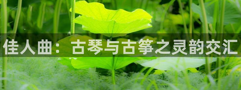 凯发手机唯一