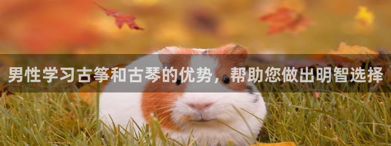 凯发k8娱乐是什么平台
