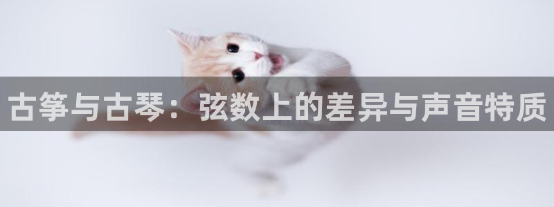 凯发手机官网：古筝与古琴：弦数上的差异与声音特质