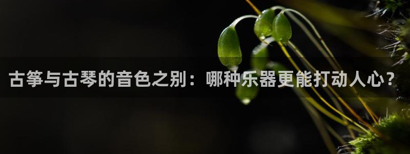 凯发k8官方网娱乐官方
