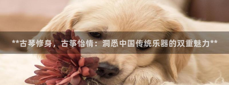 k8凯发官方找就送38