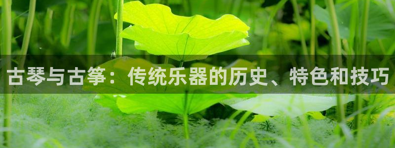 凯发最新官方app下载