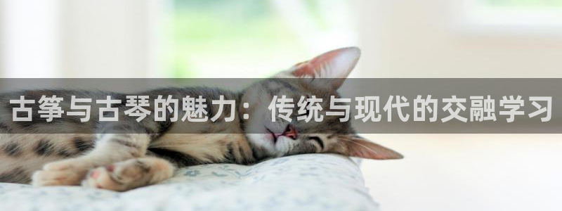 凯发k8是不是真的可靠