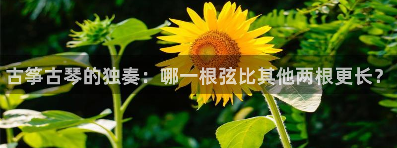 凯发官网入口首页