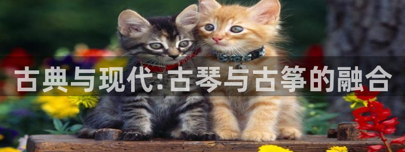 凯发k8娱乐平台网址