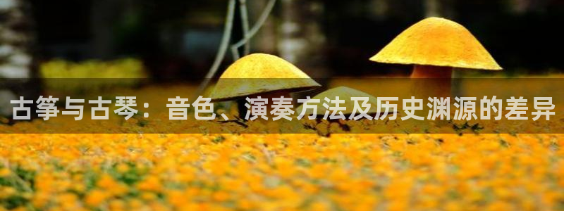凯发国际是什么